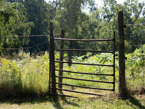 Old fence gate in the open fields in Sweden in summer 2026