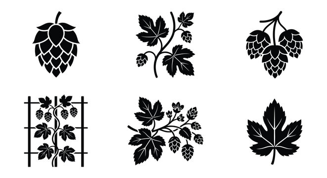 Hop Flowers And Vines Black Silhouette Vector Illustration On White Background