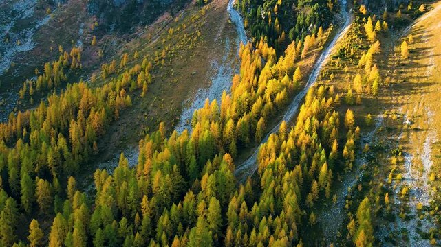 Pullback drone reveal of ridge forests and alpine terrain
