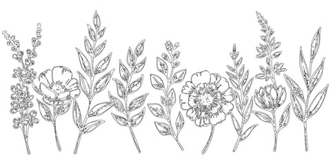 Fototapeta premium Black and White Line Drawings of Various Flowers - This image