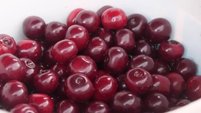 cherries on a white background