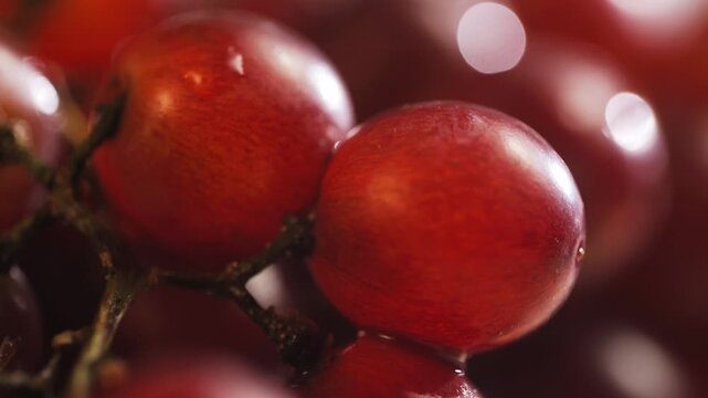 Red grape, spanish supermarket food, Close-up green grape cluster on vine in the vineyard. Stock Photo