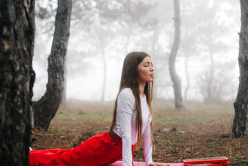 Profile portrait of a woman doing yoga stretching in a foggy forest © komokvm