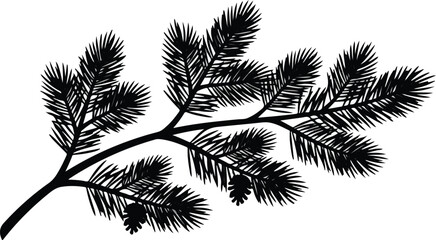 Pine Tree Needles Branch Silhouette Vector Illustration © estia