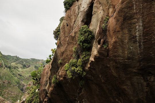 Majestic rock face adorned with vibrant green vegetation under a cloudy sky, revealing intricate textures and ancient cracks. A rugged natural landscape perfect for adventure and exploration.