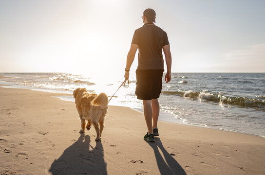 Person enjoying evening walk with loyal pet dog on calm seaside shore during golden hour sunlight
