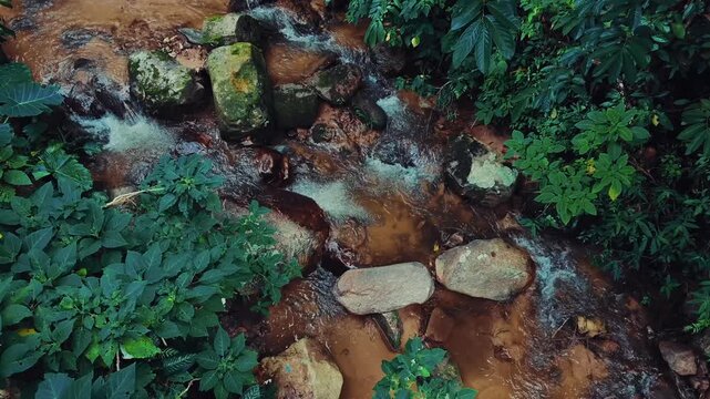 Mountain stream flowing through tropical rainforest with rocky cascades, Clear jungle river and small waterfall surrounded by lush forest vegetation and boulders 4k