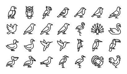 Bird Thin Line Icon Set with Eagle Owl Parrot Swan Flamingo and Wildlife Outline Symbols Editable Stroke Vector © Nela