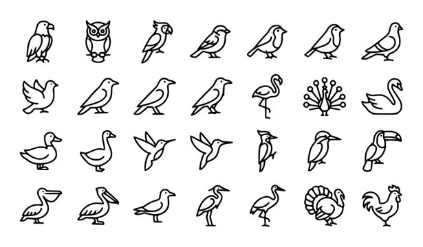 Bird Thin Line Icon Set with Eagle Owl Parrot Swan Flamingo and Wildlife Outline Symbols Editable Stroke Vector