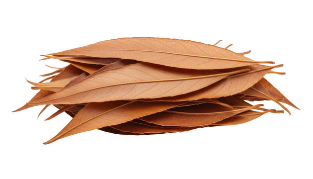 Rustic dried leaf stack on white background, brown foliage texture, natural botanical element for autumn design