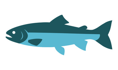 Fototapeta premium Minimalist side profile silhouette of a sleek trout swimming in deep teal and arctic blue colors isolated on white, marine wildlife nature concept