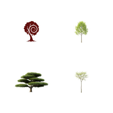 Four diverse tree illustrations spiral deciduous coniferous and flowering isolated on transparent background