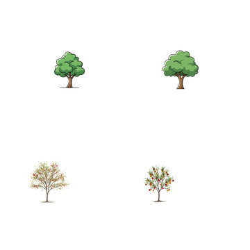 Four seasonal trees collection green summer foliage to red autumn isolated on transparent background