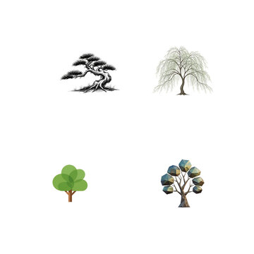 Four diverse tree illustrations bonsai weeping willow round canopy and geometric tree isolated on transparent background