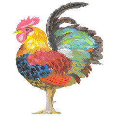Colorful hand painted rooster illustration isolated on white background, oil gouache acrylic impasto painting of rooster cock © ArTas