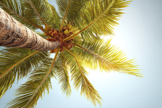 Palm tree viewed from below against blue sky. Space for text.