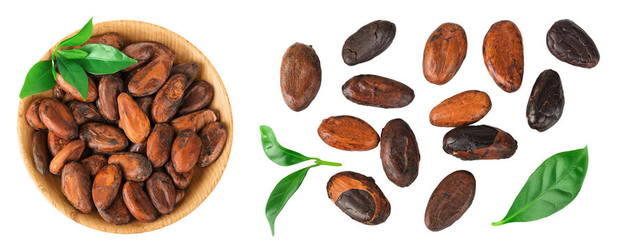 cocoa beans in wooden bowl isolated on white background. Top view. Flat lay