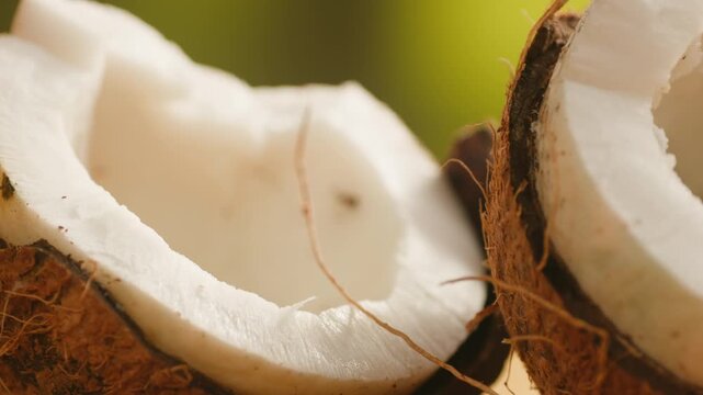 Coconut, Fresh whole and halved coconut isolated on a white background. Tropical exotic fruit with natural brown shell and white flesh. Healthy organic food, vegan ingredient, summer, close-up.