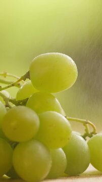 Red grape, spanish supermarket food, Close-up green grape cluster on vine in the vineyard. Stock Photo