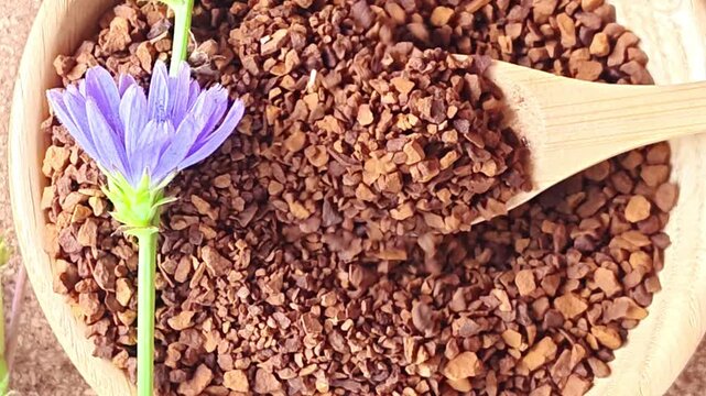 Ground chicory root, chicory flowers and chicory drink on a rustic wooden background. Alternative medicine. Healthy drinks