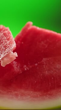 Man cutting watermelon - cut piece with knife. Young watermelons Citrullus lanatus. Topic - melons and gourds, farmer cultivation of watermelons
