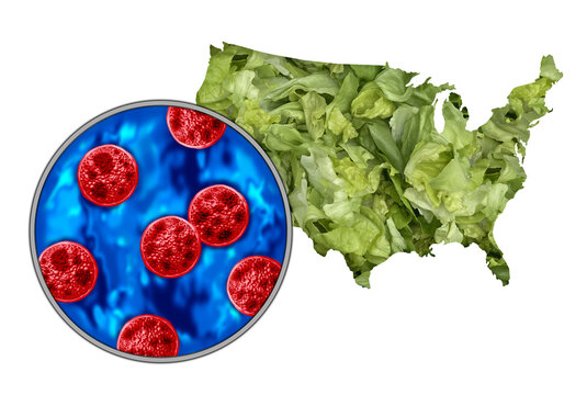 Cyclospora US contamination Outbreak and United States Cyclosporiasis Contamination on Produce as an outbreak and spread as a foodborne parasitic disease caused by cayetanensis through contaminated fo