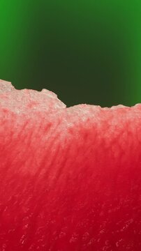 Man cutting watermelon - cut piece with knife. Young watermelons Citrullus lanatus. Topic - melons and gourds, farmer cultivation of watermelons