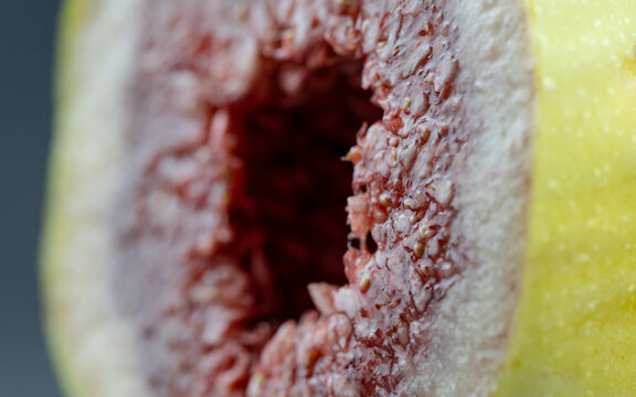 Fig fruit interior showing seeds and texture