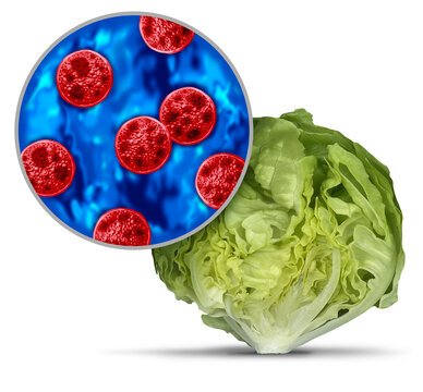 Cyclospora on Produce as an outbreak and spread as a foodborne parasitic disease caused by Cyclosporiasis cayetanensis through contaminated food as fruits and vegetables or water resulting in explosiv