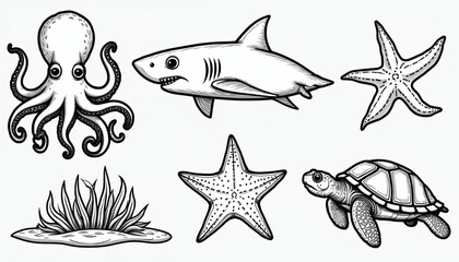 Set of black, white marine life illustrations for coloring book. Octopus starfish, turtle graphics design isolated on plain background. Aquatic animals for children education learning activity. © Maryna