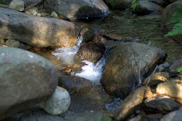 Fototapeta premium Rocky forest stream with small cascades