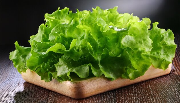 close up of fresh green lettuce