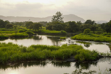Fototapeta premium Serene lake with grassy patches and misty mountain backdrop during golden morning light