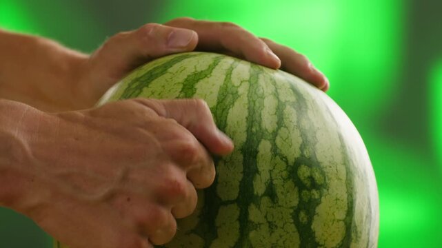 Man cutting watermelon - cut piece with knife. Young watermelons Citrullus lanatus. Topic - melons and gourds, farmer cultivation of watermelons