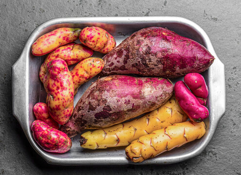 Peruvian raw ingredients for cooking - yuca, colored sweet potatoes and camote batata. Top view