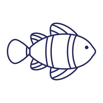 Cute orange clownfish cartoon swimming in ocean vector illustration
