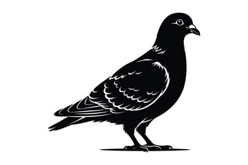 Fototapeta premium Detailed side profile of a standing pigeon bird vector illustration with wildlife