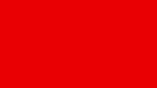 Camera Flash Effect animation isolated in black background. A strobe effect (bright flashing light on a black background, fast flashing light transitions.