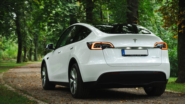 Tesla Model Y Elektro SUV von hinten im Wald