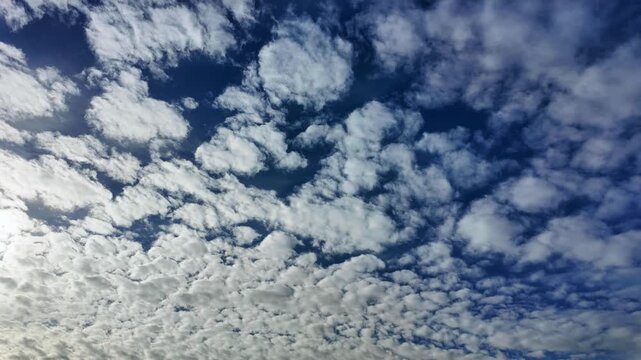 Timelapse of fluffy altocumulus clouds drifting across a deep blue sky in patches.
