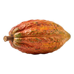 Whole ripe cocoa pod fruit with orange and yellow skin on transparent background fresh cacao bean source for chocolate production isolated organic agriculture product macro.