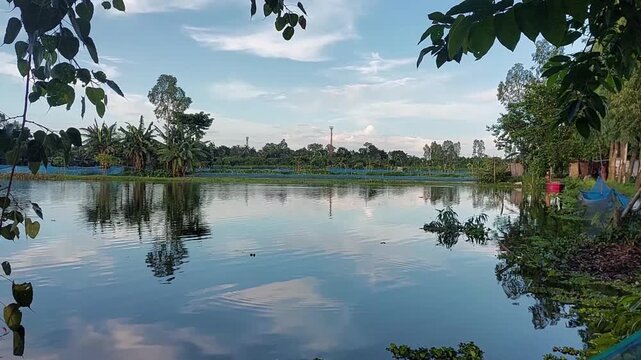 Peaceful rural landscape featuring a tranquil fish pond surrounded by lush green trees and vegetation