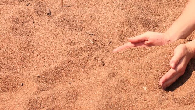 Female hands holding fine sand and letting grains flow through fingers showing natural material texture coastal environment earth elements and educational nature concept