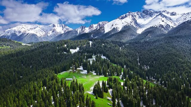 Aerial view of green grassy clearing nestled in a dense evergreen forest surrounded by snow-capped mountain peaks in Xinjiang, China.