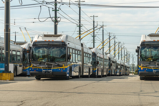 Canada, BC, Vancouver.  Long row of electric powered busses at transit depot. 