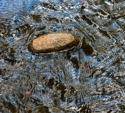 Canada, BC, Keremeos.  A stone in the Ashnola River.