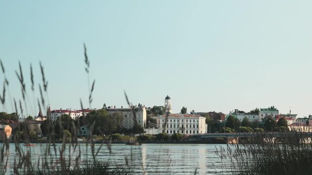 A serene lake surrounded by tall grasses and reeds, perfect for nature  or environmentalist projects