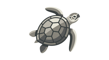 Gray turtle swimming in the ocean. © May