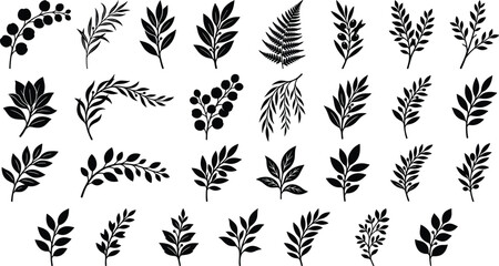 Fototapeta premium Botanical Leaf Branch Silhouette Collection Featuring Foliage Sprigs Ferns and Decorative Plant Vector Elements Set