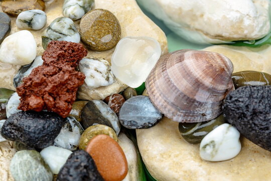 Pietre di mare con ciottoli e conchiglia